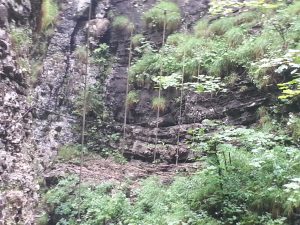 Daarna via hangende touwen