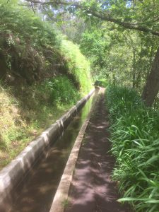 Langs de levada’s