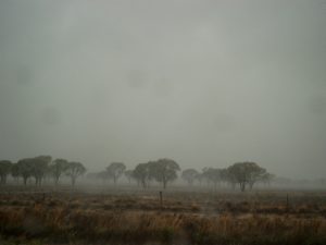 Maar het kan ook fors regenen