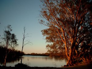 Mildura Murray river