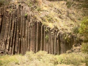 Organ national park