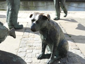 trouwe hond wachtend op een visje
