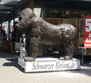 Rare jongens die duitsers in altstadt keulen