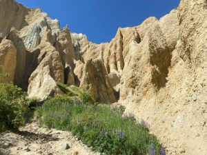 Claycliffs