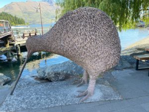 Kiwi’s in alle maten