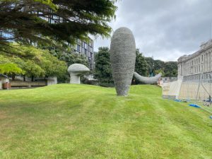 Nog meer kunst in Wellington