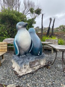 Ook Pinguins in alle maten