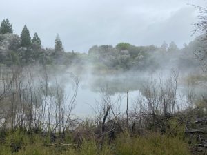 Rotorua veel dampende poelen