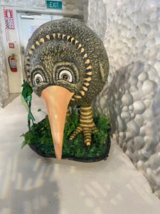 Treurig kijkende Kiwi