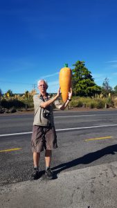 Giant wortel