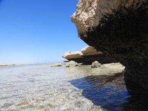 DSCN1417