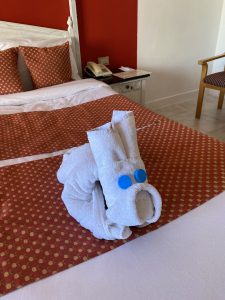 IMG_1058