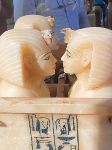 Canopee met te bewaren organen