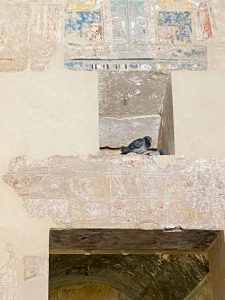 deze vogel blijft rustig zitten